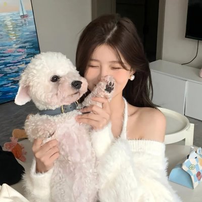 狄小肆之幽冥飞狼